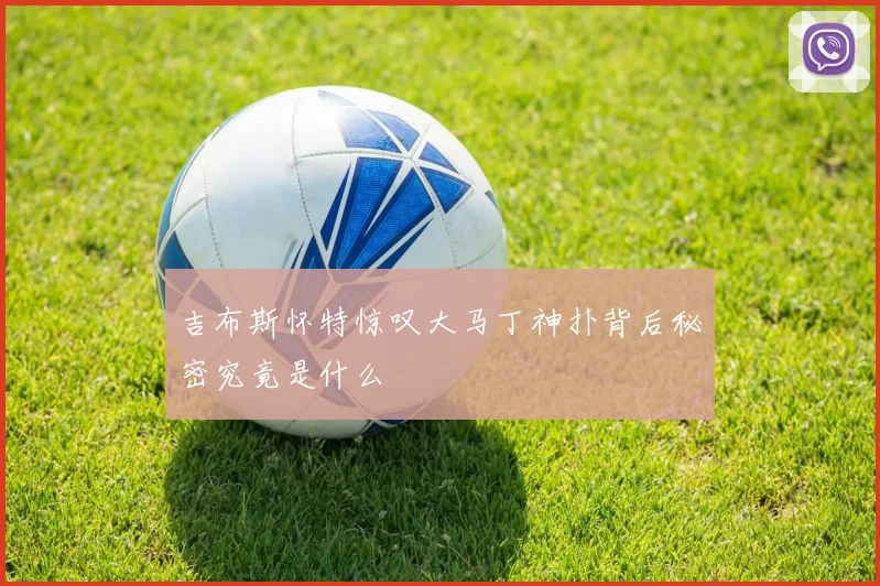 吉布斯怀特惊叹大马丁神扑背后秘密究竟是什么